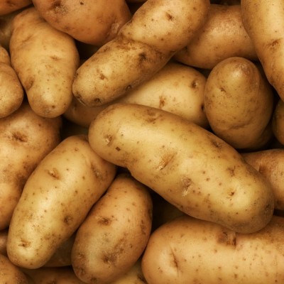 Anya Seed Potatoes 2kg Bag